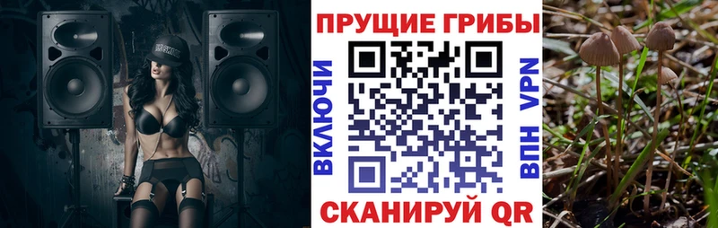 Псилоцибиновые грибы прущие грибы  MEGA ONION  Тосно 