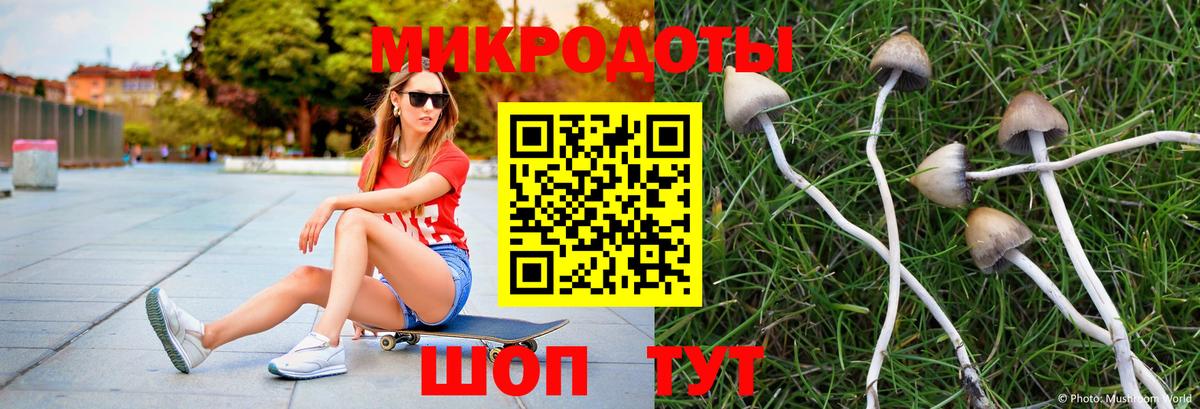 Псилоцибиновые грибы Magic Shrooms Тосно